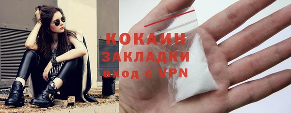 хмурый Вяземский