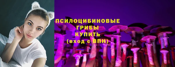гидра Каменногорск