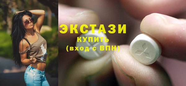 индика Володарск