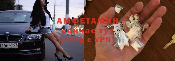 индика Володарск