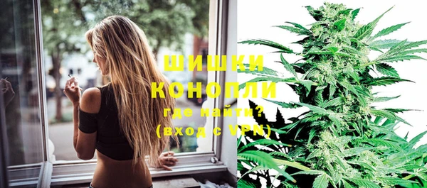 гидра Каменногорск