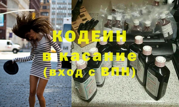 индика Володарск