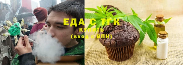 индика Володарск