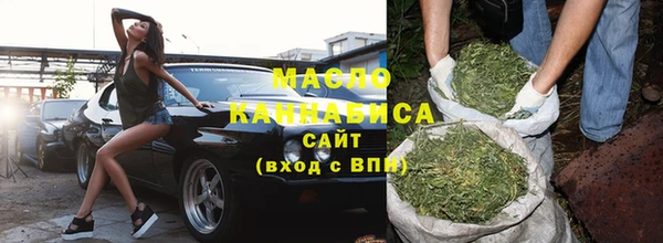 индика Каменск-Шахтинский