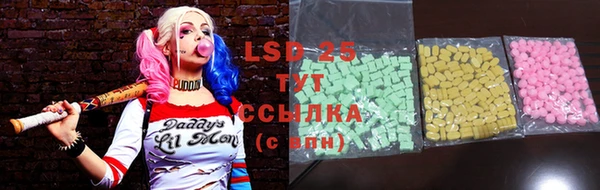 индика Володарск