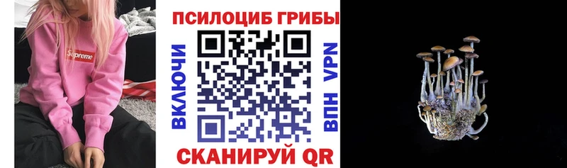 OMG tor  Верхний Уфалей  Галлюциногенные грибы ЛСД 